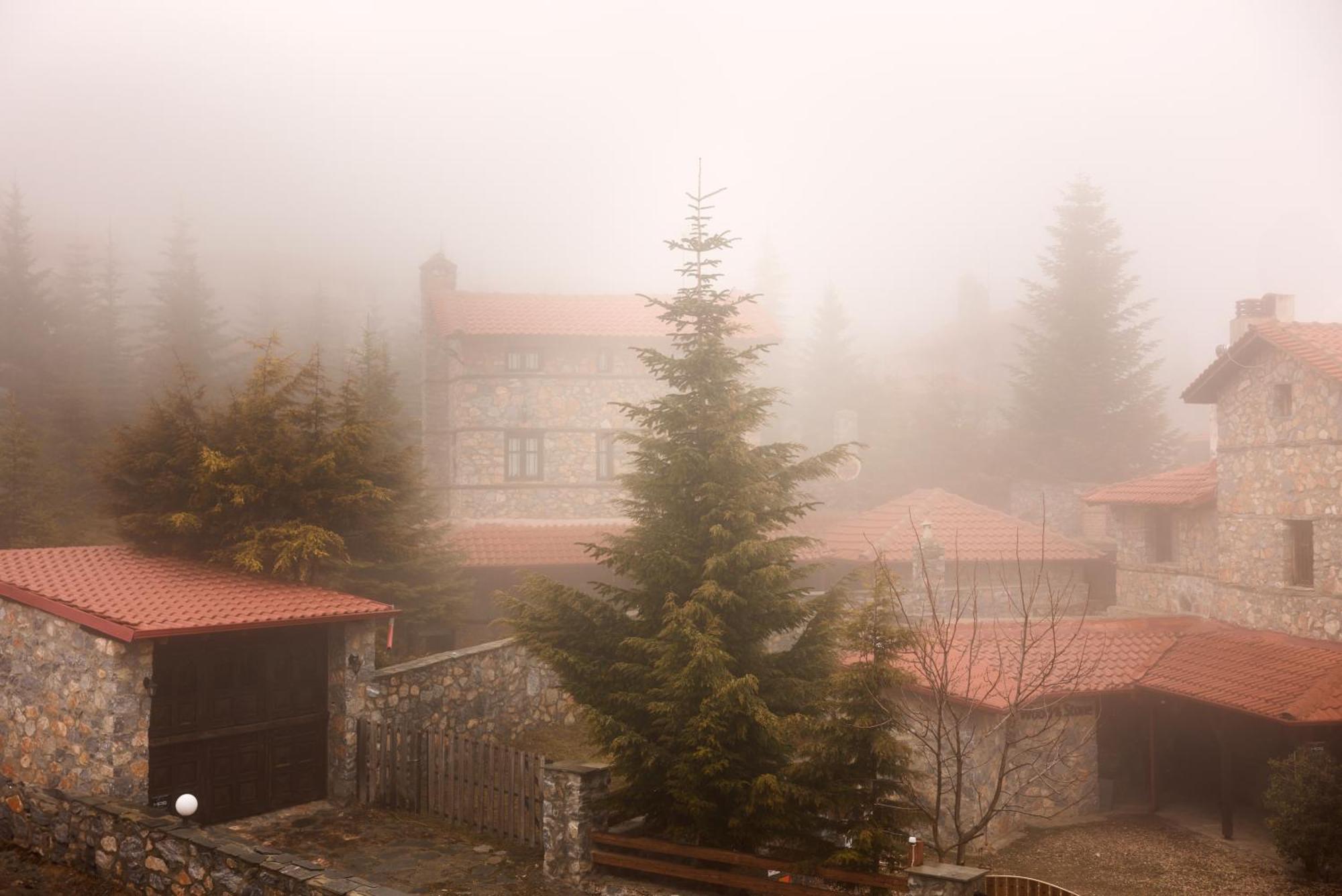 Domotel Neve Mountain Resort Agios Athanasios  Exteriör bild